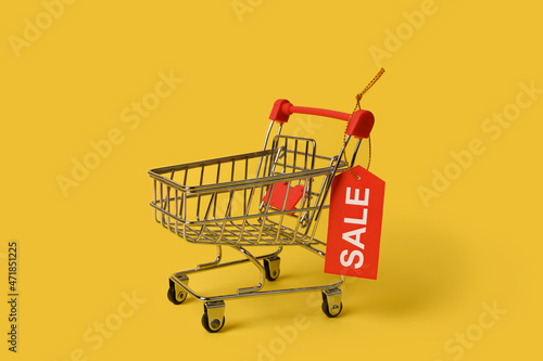 Empty mini shopping cart for online shopping.