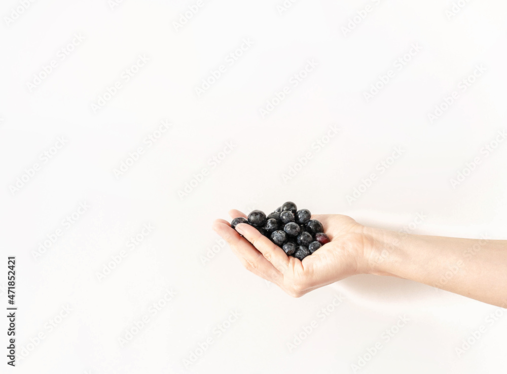 Female hand of uncertain young woman holding fresh ripe blueberry Female hand of uncertain young woman holding fresh ripe blueberry