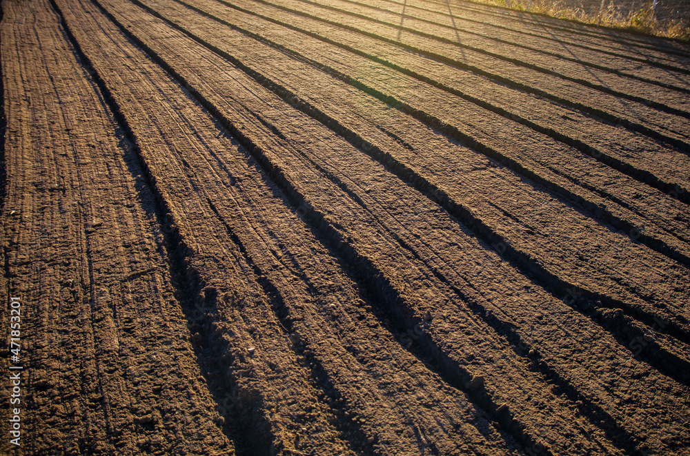 Soil after cultivation, mixing and grinding a field. Cultivated farm land in fall, preparing the soil for cutting rows for the next season. Softening and grinding, loosening the earth. Farming