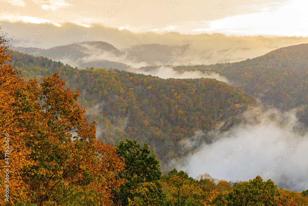 Fog Covered Mountains With Fall Foliage, Pipestem Resort State Park, West Virginia, USA