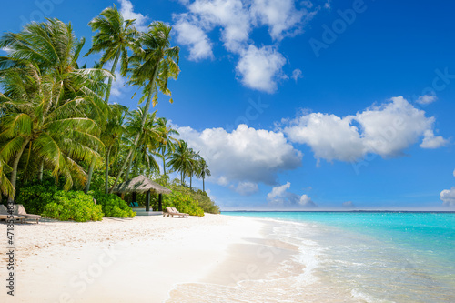 Maldives island beach. Tropical landscape of summer scenery, white sand with palm trees. Luxury travel vacation destination. Exotic beach landscape. Amazing nature, relax, freedom nature resort coast