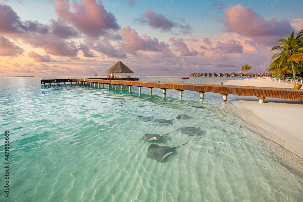 Outstanding sunset beach shore, shallows with sting rays and sharks in Maldives islands. Luxury resort hotel, wooden jetty, over water villa, bungalow. Amazing traveling, vacation landscape wildlife