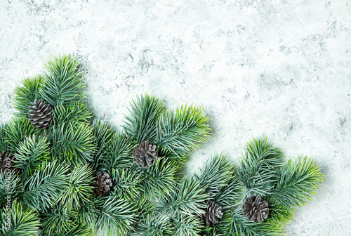 Christmas background with close-up of fir branches with cones on a white background.