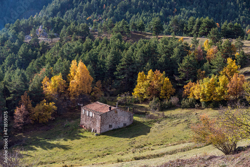 Paisage  otoñal en Boscalt, comarca del Alt Urgell, debajo de la montaña del Cadí photo