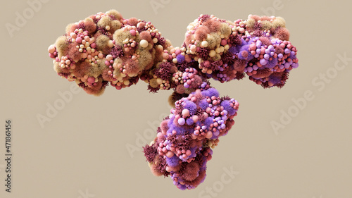 Antibody, immunoglobulin large Y-shaped protein used by the immune system to identify and neutralize bacteria and viruses. photo