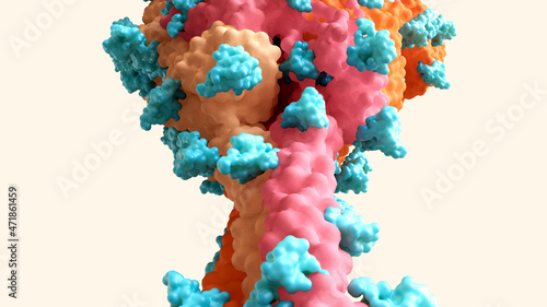 SARS-CoV-2 Spike Protein glycan shield (in blue) thwart the host immune response. Coronavirus structure.