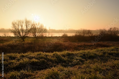 Early morning Vistula river near Sandomierz  autumn landscape with river and trees in autumn.