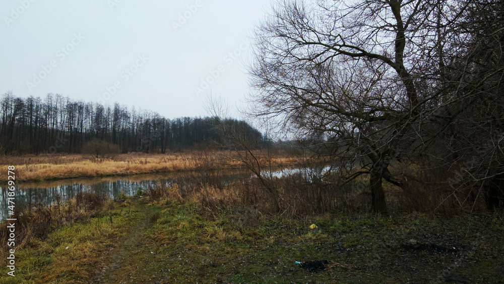 The river among the city park. Late autumn, cloudy. Trees without leaves and dried reeds along the banks of the river. Aerial photography. The river among the city park. Late autumn, cloudy. Trees without leaves and dried reeds along the banks of the river. Aerial photography.