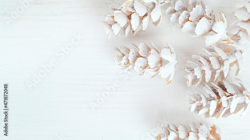 Cones on a white background with very soft focus, tender winter card with copy space