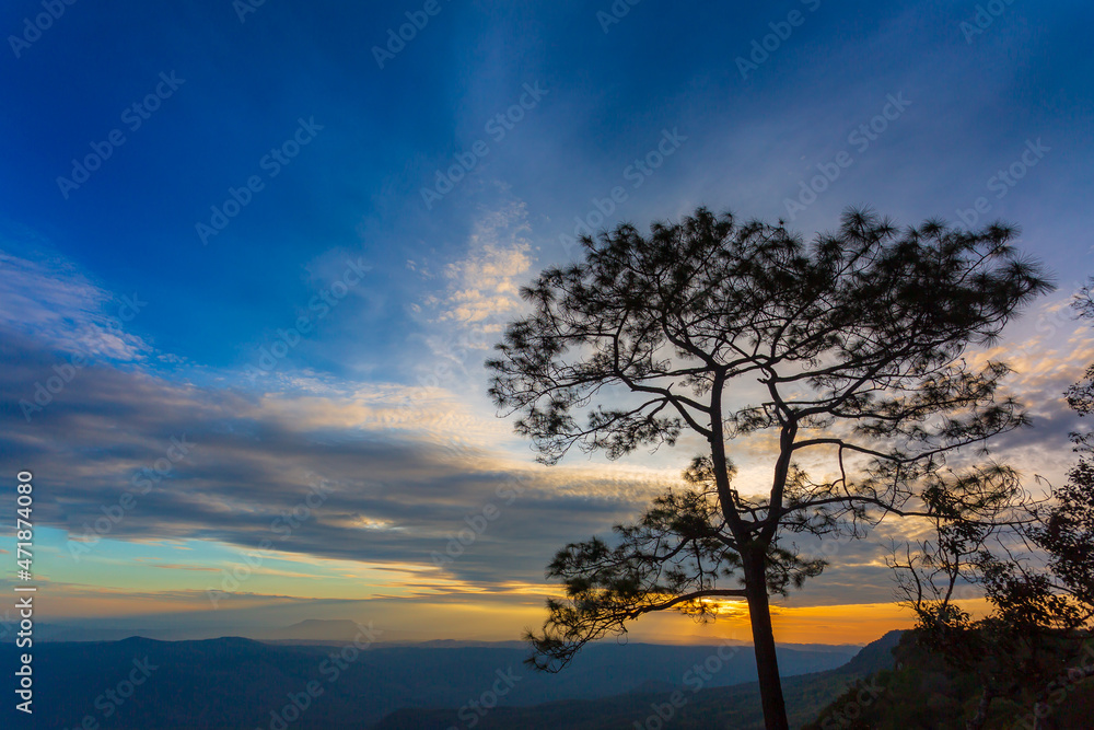 Silhouette of tourist at mountain top wait for see sunrise ,Phu Kradueng National Park, Thailand Silhouette of tourist at mountain top wait for see sunrise ,Phu Kradueng National Park, Thailand