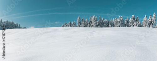 Verschneite Winterlandschaft mit Blauem Himmel und Tannenbäumen