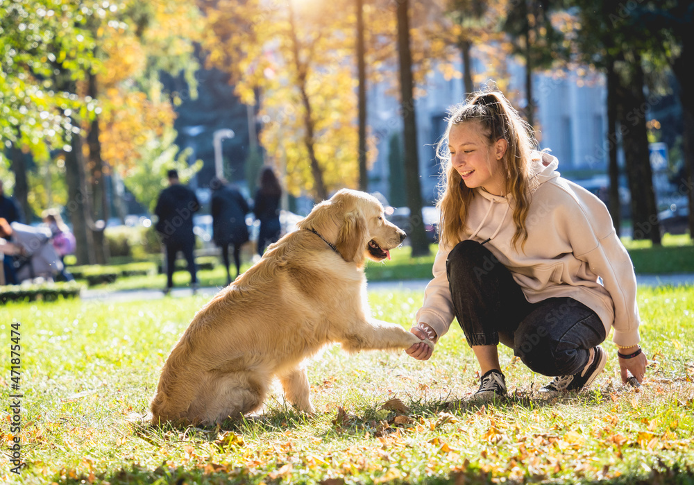 The owner plays the golden retriever dog in the park. The owner plays the golden retriever dog in the park.