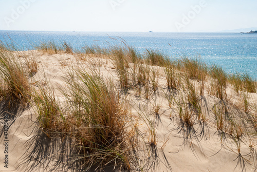 Fototapeta Naklejka Na Ścianę i Meble -  Dunes on a sandy island hill