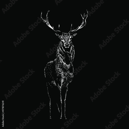 deer vector hand drawing illustration in scratch style. vector isolated element on the black background