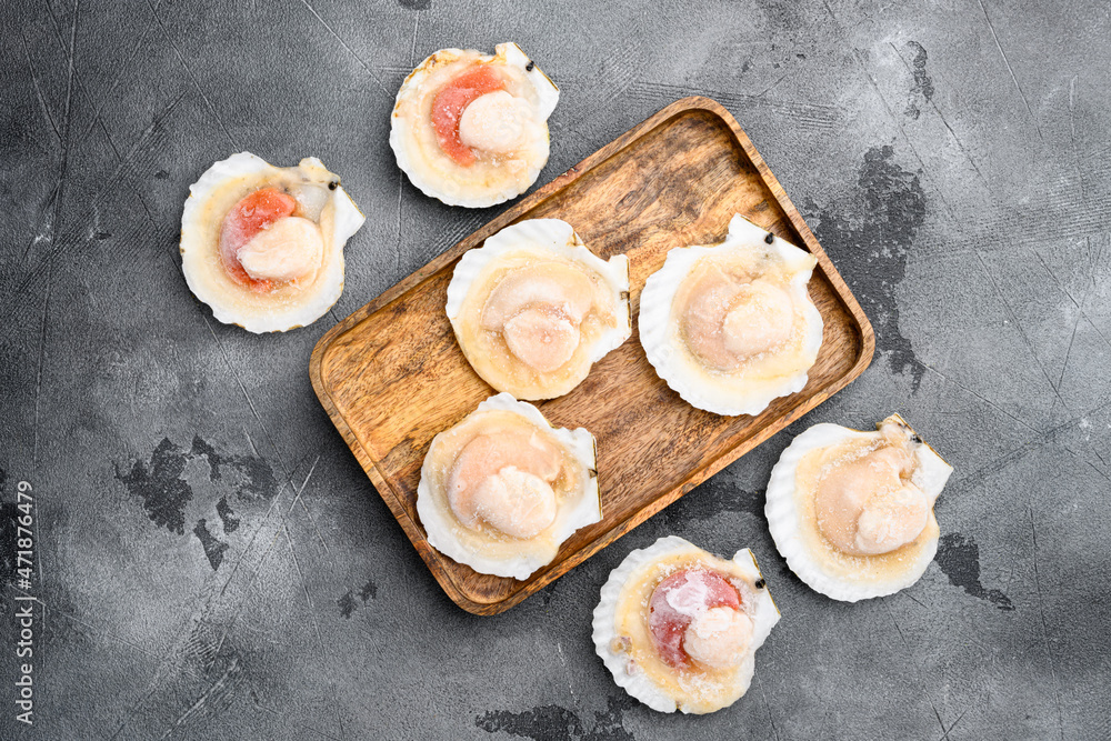 Scallop. Frozen meat scallop shells, on gray stone table background, top view flat lay, with copy space for text