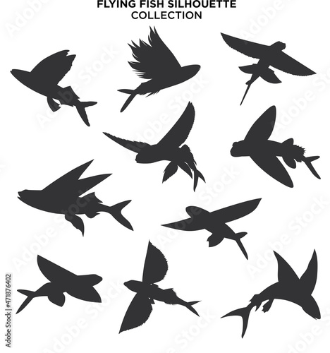 Canvas Print flying fish silhouette vector