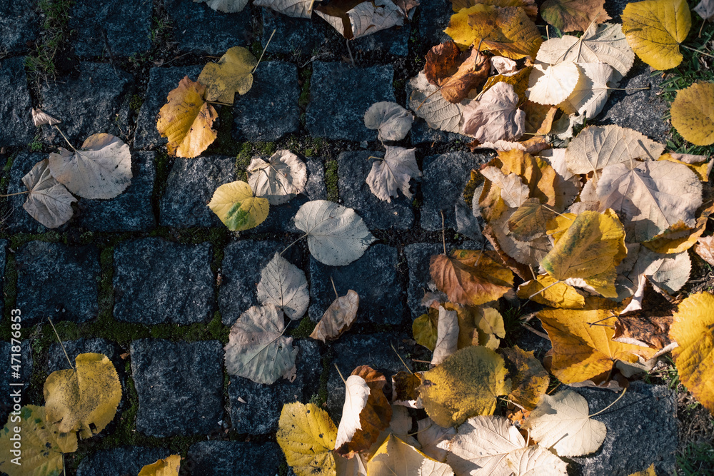 Texture of fallen leaves on the stone pavement.