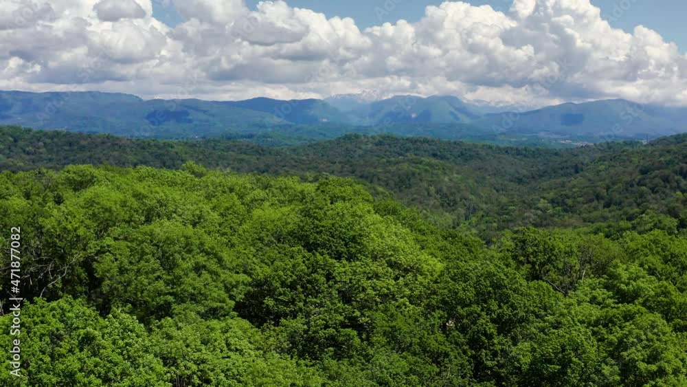 The Great Caucasian Ridge. Mount Ahun. Subtropical forest. Aerial view. The Great Caucasian Ridge. Mount Ahun. Subtropical forest. Aerial view.