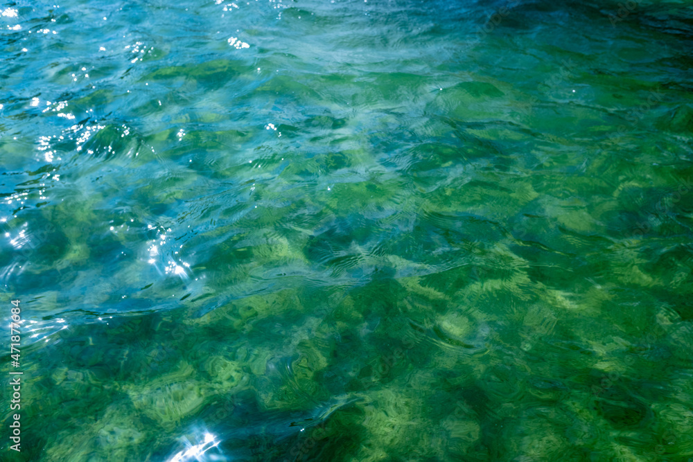 Blue-green in the light of the sea water.