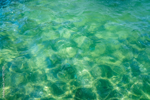 Blue-green in the light of the sea water.