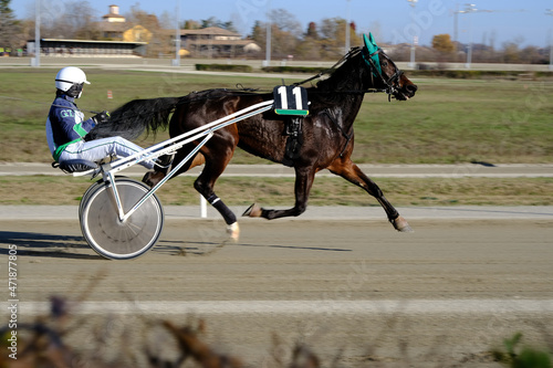 Bilde på lerret trotting horse race with sulky in the hippodrome