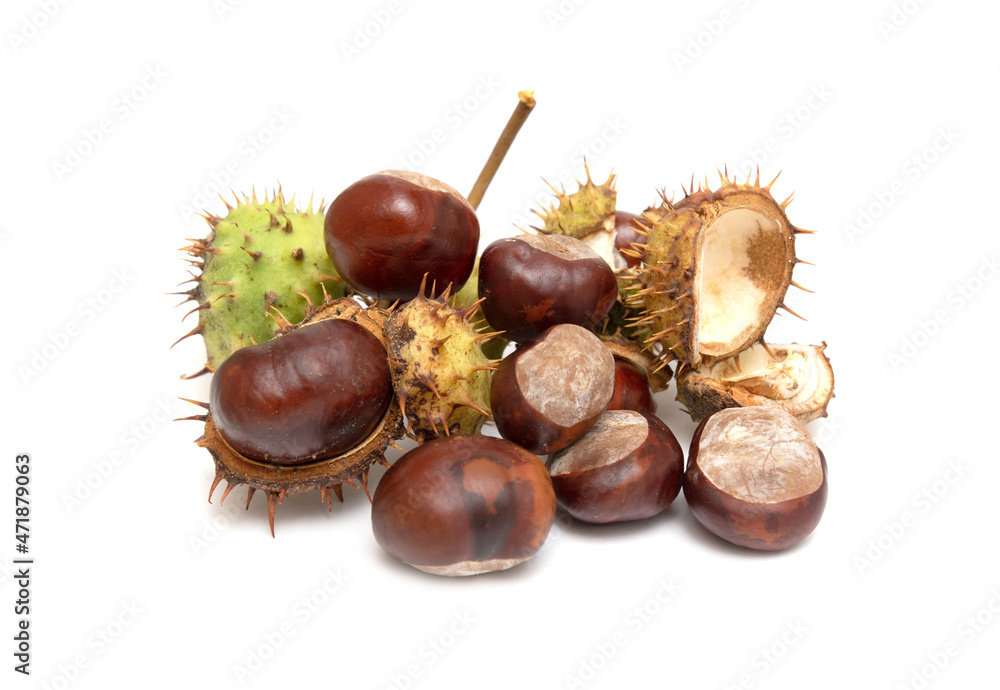Chestnut fruits in husks on a white background. Chestnut fruits in husks on a white background.