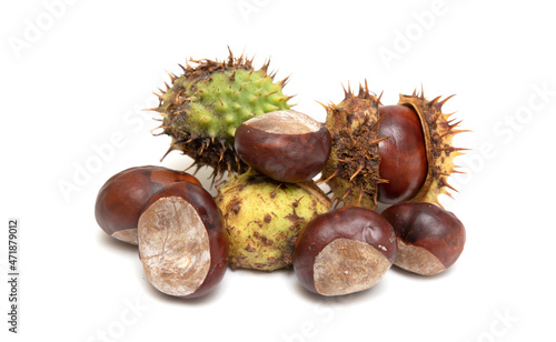 Chestnut fruits in husks on a white background.