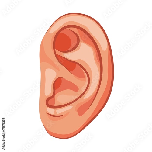 Ear human icons isolated on white background. Design template of body part, human organ
