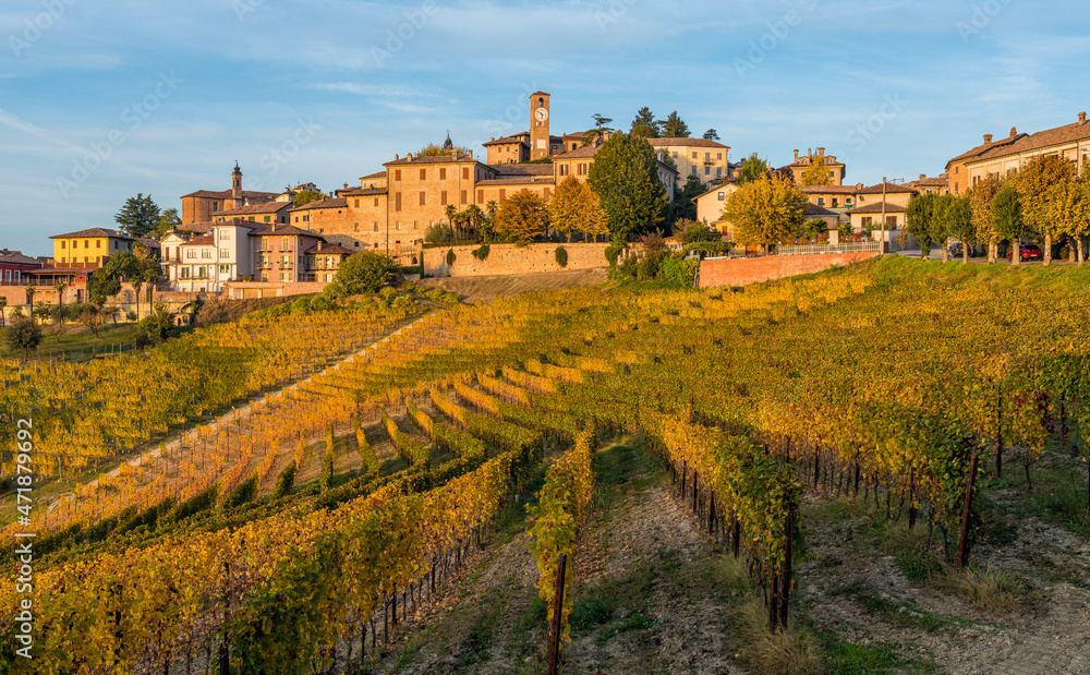 Beautiful hills and vineyards during fall season surrounding Neive village. In the Langhe region, Cuneo, Piedmont, Italy.
