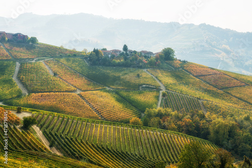 Beautiful hills and vineyards during fall season surrounding Serralunga d'Alba village. In the Langhe region, Cuneo, Piedmont, Italy.