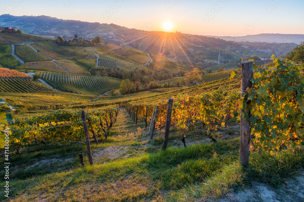 Beautiful sunset with hills and vineyards during fall season near Serralunga d'Alba village. In the Langhe region, Cuneo, Piedmont, Italy. - obrazy, fototapety, plakaty 