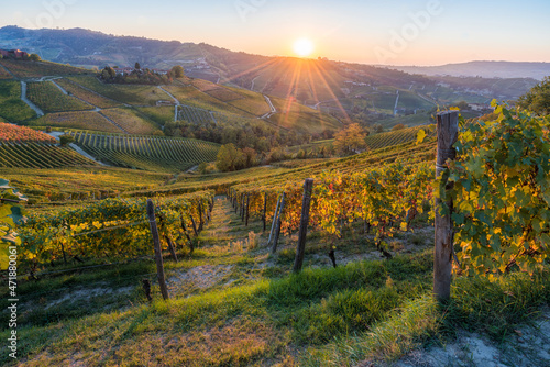 Beautiful sunset with hills and vineyards during fall season near Serralunga d'Alba village. In the Langhe region, Cuneo, Piedmont, Italy. photo