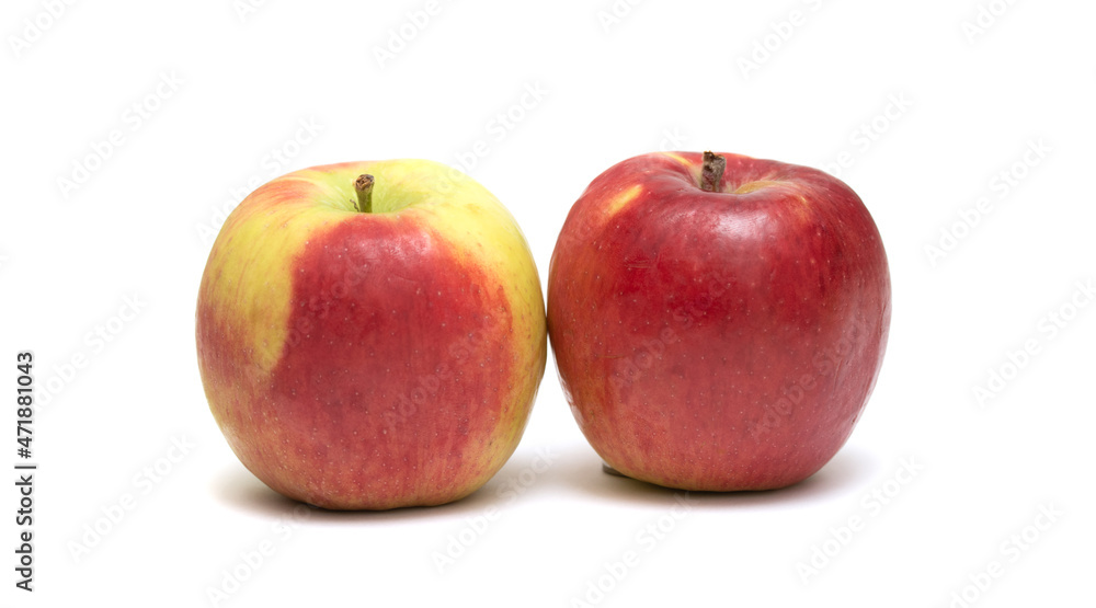 Red apple on a white background. Red apple on a white background.