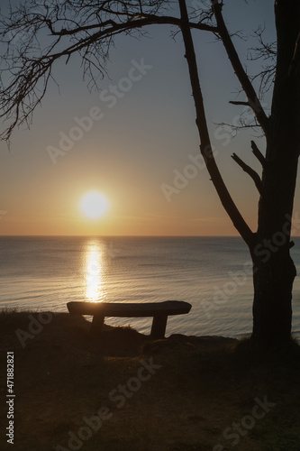 Bench by the tree on the sea shore at sunset