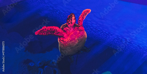 Minigolf Blacklight - Schwarzlicht