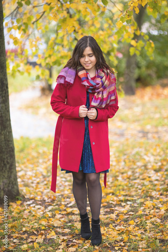 Young beautiful girl in a red coat stands in an autumn park among yellow leaves