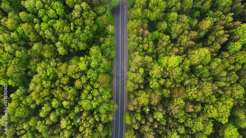 Obraz na płótnie Top view of  green forest landscape wallpaper art