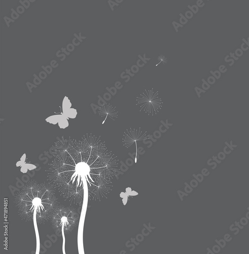 vector illustration of dandelion seeds blown in the wind