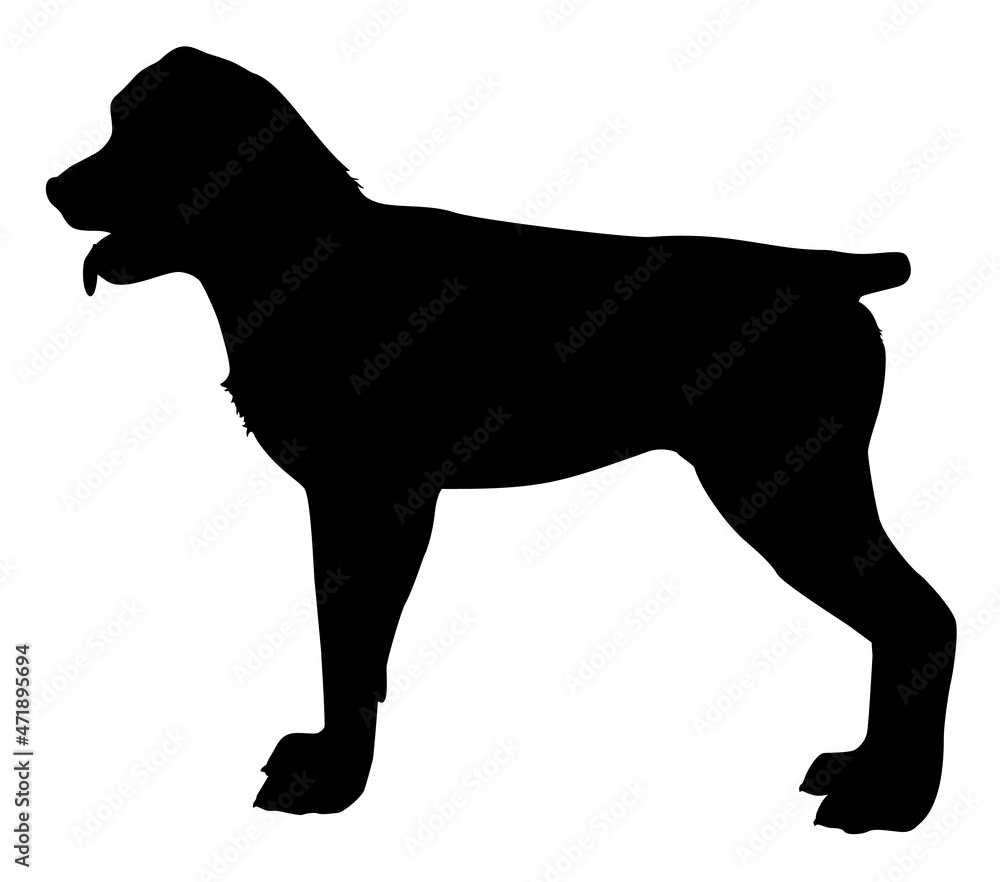 silhouette of a rottweiler breed dog vector