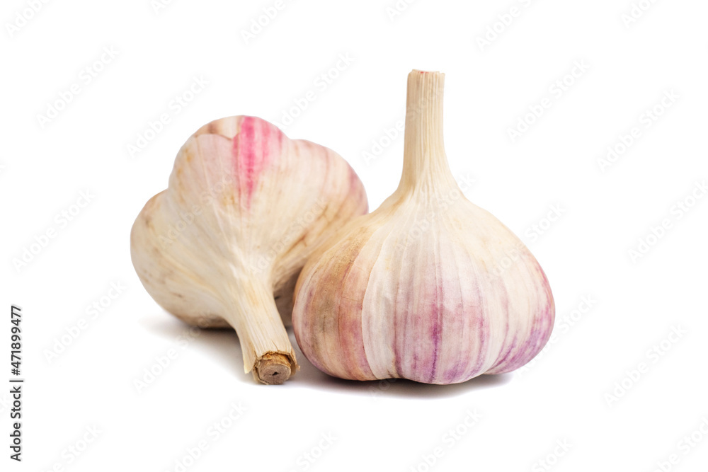 Fototapeta premium Fresh garlic isolated on a white background. Raw garlic on white