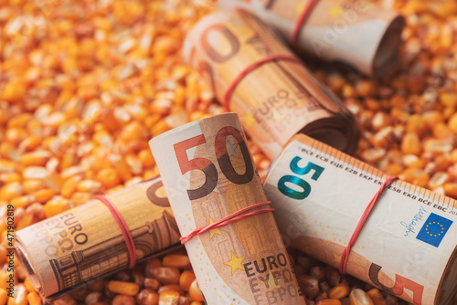 Quadro su tela Fifty euros bankrolls, rolled European Union currency money over harvest corn ma