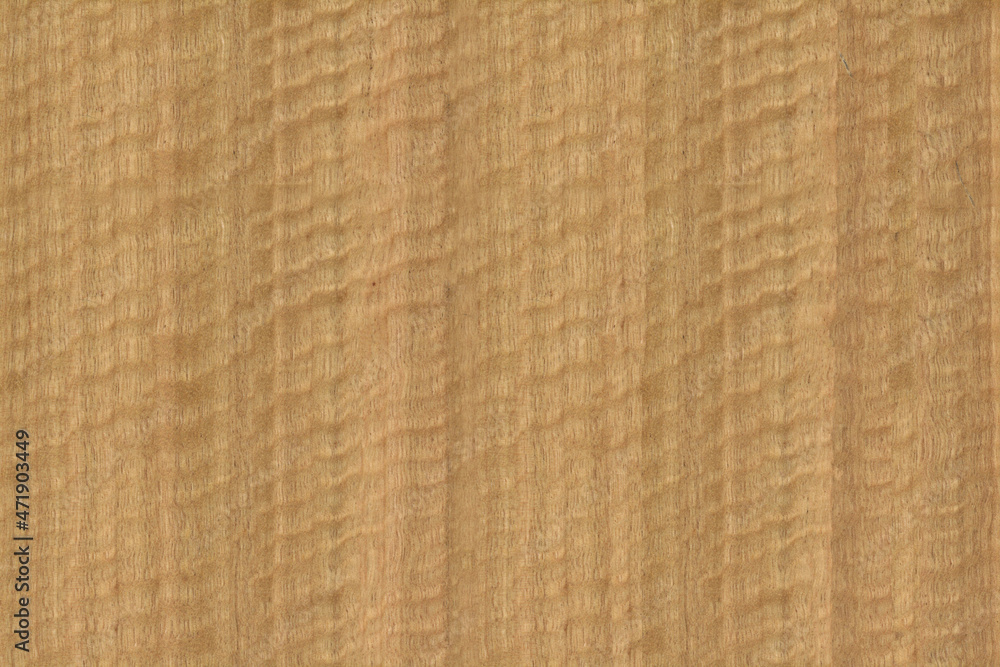 Natural eucalyptus wood veneer texture Natural eucalyptus wood veneer texture