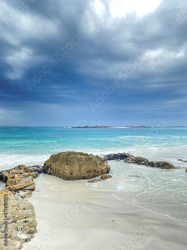sea view rocks ocean seagull mountain beach seashells true crab sky cloudy clear blue sand haze turquoise seaweed white blur stones vacation cape town shore nature blend animals creatures wild life