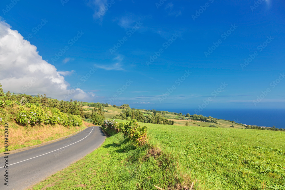 Naklejka premium road through green hills landscape on Sao Miguel island, Portugal