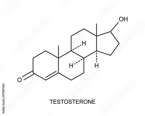 Testosterone icon. Chemical molecular structure. Steroid sex hormone sign isolated on white background. Vector graphic illustration.