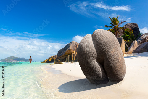 Coco de mer or sea coconut, or double coconut is the largest and sexiest nut in the world. Seychelles  photo