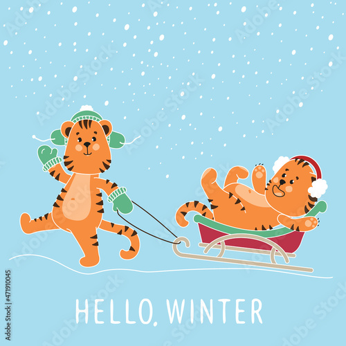 Cheerful tigers sledding on a snowy winter day. Vector isolated image.