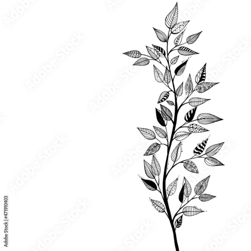 tree branch with leaves graceful and style ink graphics 