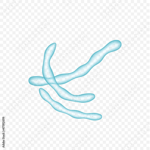 Probiotics or prebiotics bacteria of intestinal healthy microflora realistic. Colonic microorganisms