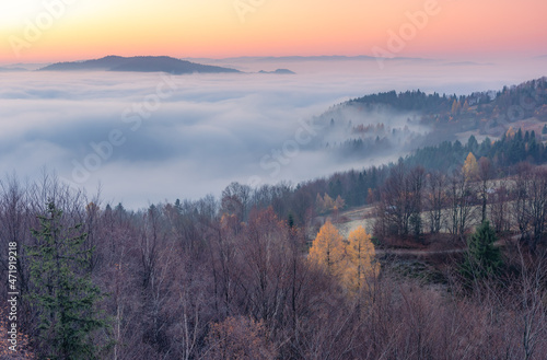 Fototapeta Naklejka Na Ścianę i Meble -  Misty autumn mountains landscape in the morning, Poland, Beskidy mountains seen from Koziarz peak.